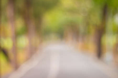 Defocus Green city park ,  Stock Imageの写真素材