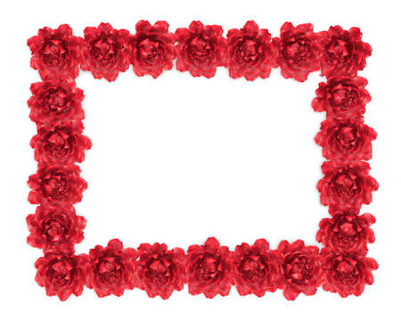 Frame made of beautiful red roses and blossoms, isolated on white. Great as a greetings card, for a love message, for a wedding and so on.の写真素材