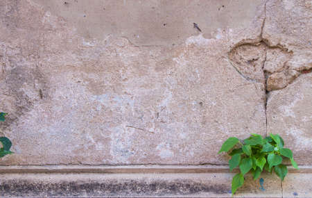 old wall with cracks backgroundの写真素材