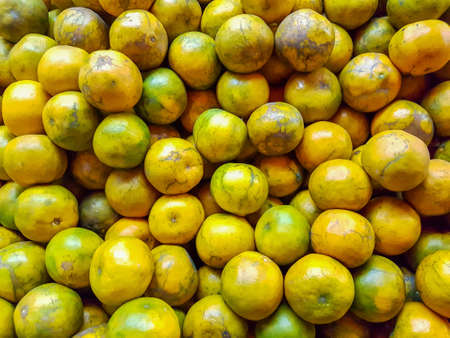 oranges fresh fruitの写真素材