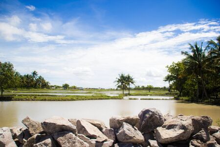 Rock and Paddy field on Pinrang, South Celebesのeditorial素材