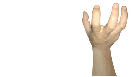hand.show stance.something  isolated on white.illustration modern vector.のイラスト素材