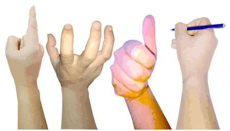 hand.show stance.something  isolated on white.illustration modern vector.のイラスト素材
