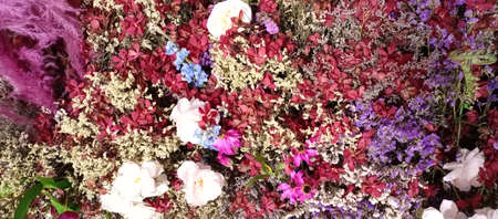 background beauty plant wall with lush green colors, variety plant forest garden on walls orchids...