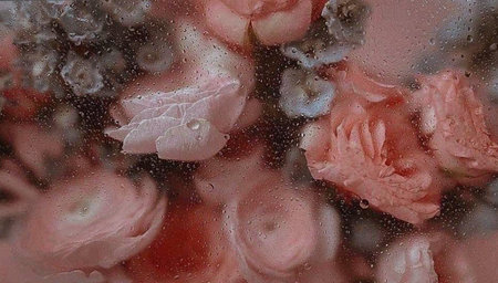 photo illustration valentine's day.background blurred image flower with mirror, drop water,perspective creative modern Idea concept.の写真素材