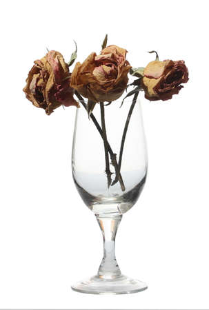 dry rose valentineの写真素材