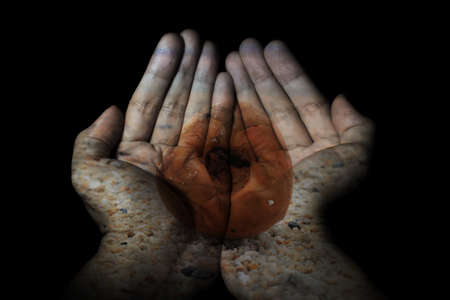 hand double exposure with beach and coconutの写真素材