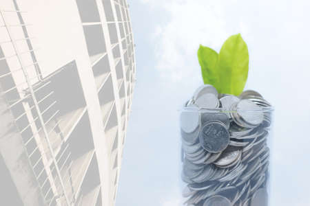 Saving money for your investment future (habit) is similar to growing green leaves on tree isolated...
