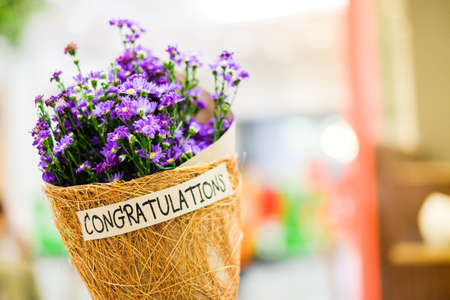 Beautiful violet or purple Gypsophila flower in brown grid paper bouquet for you with "Congratulations" word for wishing you all the best for your birthday or celebration concept.の写真素材