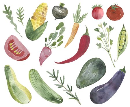 Vegetables set drawn watercolor blots and stains with a spray pumpkin, beet, pepper, cucumber on kraft paperの写真素材