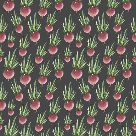 Hand-drawn root vegetables. Seamless nature background. Fresh organic sketch food.の写真素材