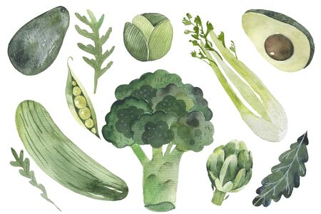 Green smoothie recipe vegetable. With illustration of ingredients. Doodle styleの写真素材