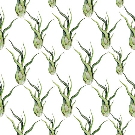 Four tropical leaves. Hand drawn leaves illustration in watercolor.の写真素材