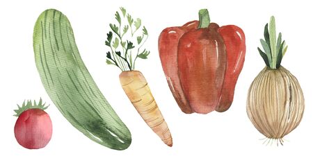 Fresh watercolor vegetables set. Hand drawn watercolor tomato, cucumber, carrot, pepper onionの写真素材