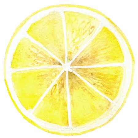 lemon slice isolated on a white background. watercolor illustration of juicy citrusの写真素材
