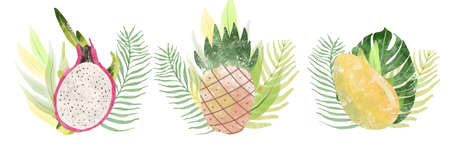 Hand drawn watercolor illustration of different exotic tropical fruits isolated on the white background.の写真素材