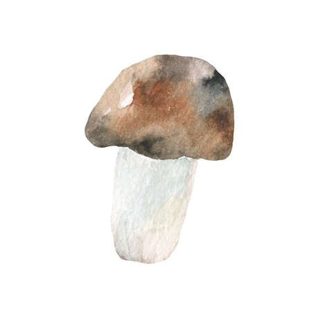 Watercolor mushroom. Hand drawn illustration with realistic mushroomsの写真素材