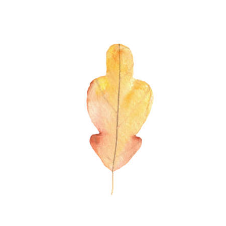 watercolor autumn leaves Watercolor autumn leaves. Watercolor autumn leaves.の写真素材