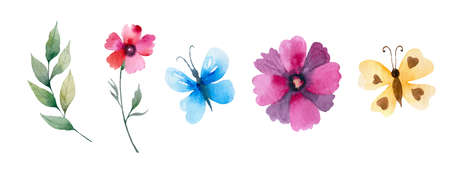 floral set. Colorful floral collection with leaves and flowers, drawing watercolor.の写真素材