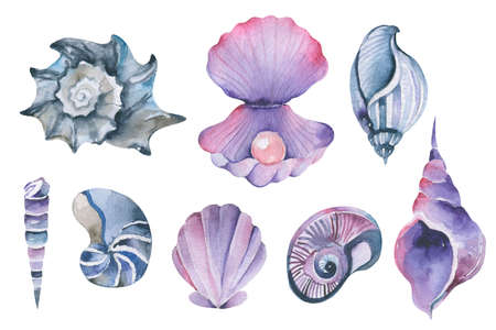 Watercolor seashell beach and ocean design elements: large collection of hand drawn vintage sea...