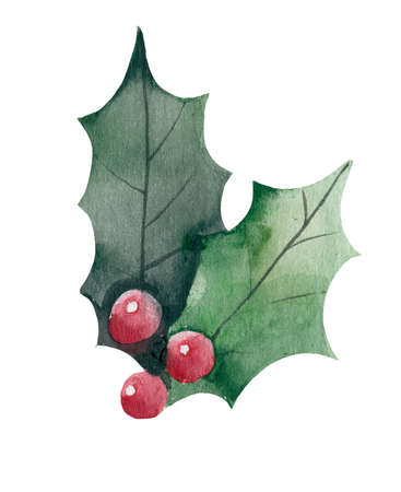 Watercolor Christmas Holly. Hand painting. Watercolor. Illustration for greeting cards, invitations, and other printing projects.の写真素材