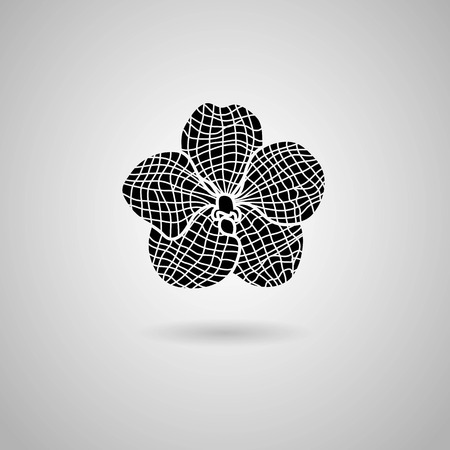 orchid flowers  Vector illustration のイラスト素材