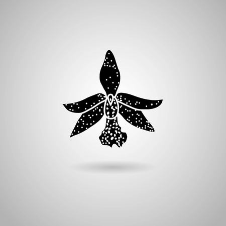 orchid flowers  Vector illustration のイラスト素材