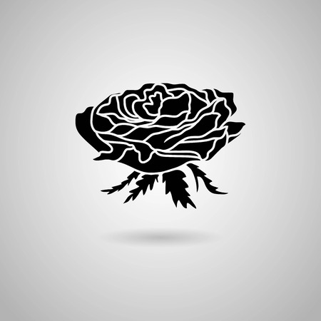 rose  Vector illustration のイラスト素材