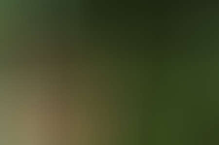 Abstract backgroundの写真素材