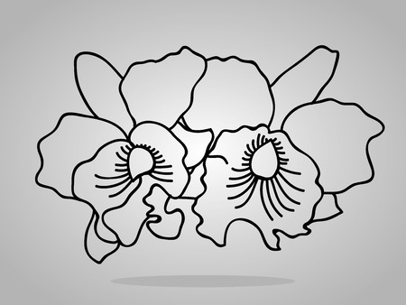 orchid flowers . Vector illustration.のイラスト素材