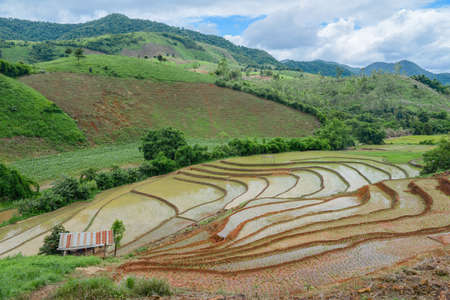 The rice terraces and agriculture filed of the countryside of northern Thailand.の写真素材