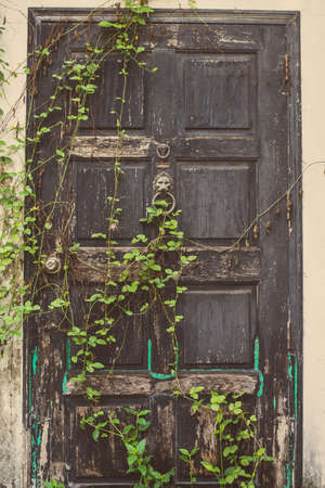 The old vintage door