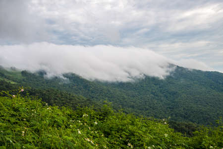 The mountain covered with the mist.の写真素材