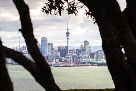 Auckland cityscape view from Devonport the suburb of Auckland, North island of New Zealand.の写真素材