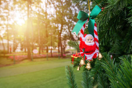 Close up of a Santa claus doll hanging on a branch of Christmas tree. Gift or present is an item given to someone without the expectation of payment or anything in return.の写真素材
