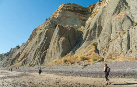 Tourist walking along the beach to Cape Kidnappers in Hawke's Bay region of New Zealand.