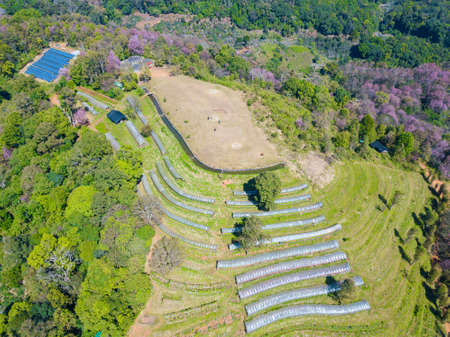 Aerial view of highland research and development of higher agriculture project on Doi Pangkhon...