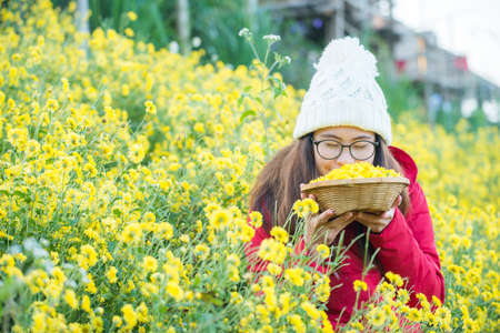 Portrait of Asian woman holding a basket containing Chrysanthemum flowers in her hand.
