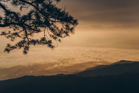 The beautiful scenery view of Phu Kradueng national park one of the most popular national parks in...