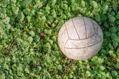 Dirty volleyball on the grass floor in the garden.の写真素材