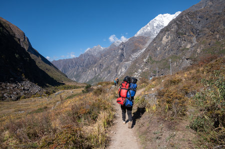 Porter carrying guest bags in Langtang valley, Nepal. The Langtang Valley trek is one of the most picturesque and rewarding trekking experiences in Nepal.の写真素材
