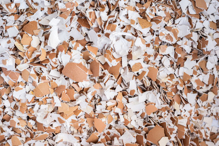 Full frame shot of crushed chicken eggshells. This organic waste is rich in calcium and other components that are essential for plant growth.の写真素材