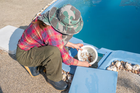 Technician trying to removing leaf and debris from pool skimmer. Pool skimmers are designed to draw water from the surface and suck it through the pool's filtration system.の写真素材