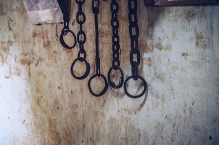 Group of rusty metal shackles (or handcuff) hanging on the wall. A shackle is a restraint, either physical or psychological, that restricts movement.の写真素材