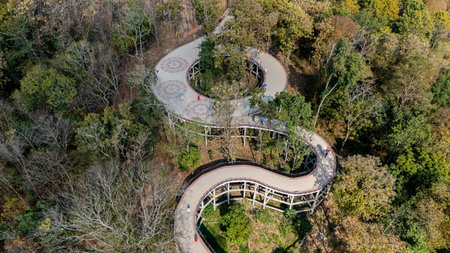 Aerial view of the skywalk in Phayao province of Thailand. Located on Wat Phrathat Chom Thong temple...