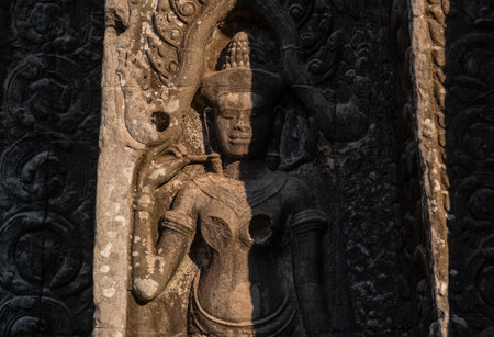 Apsara Bas-Relief decorated in Ta Prohm temple, one of Angkor's best visited monuments. An Apsara is...