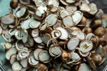 Full frame shot of puff ball mushrooms (other named is Earthstars mushroom) after cutting and prepare for cooking. It is best eaten when young, boiled and served with spicy chili sの写真素材