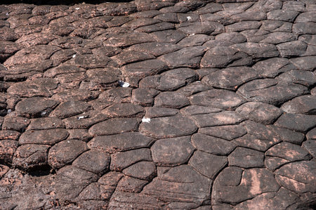 The surface of sun cracks rock in Phu Langka National Park of Bueng Kan province, Thailand. In...