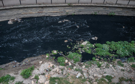 Bagmati river at Pashupatinath temple in Kathmandu, Nepal. This river contains large amounts of...
