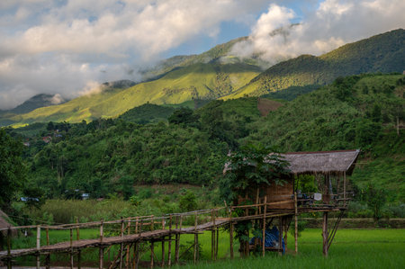 Greenery view of Sapan village a small village nestled in a forested northern valley of pure air and...